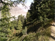 Walter 08.07.08-02.01.200974